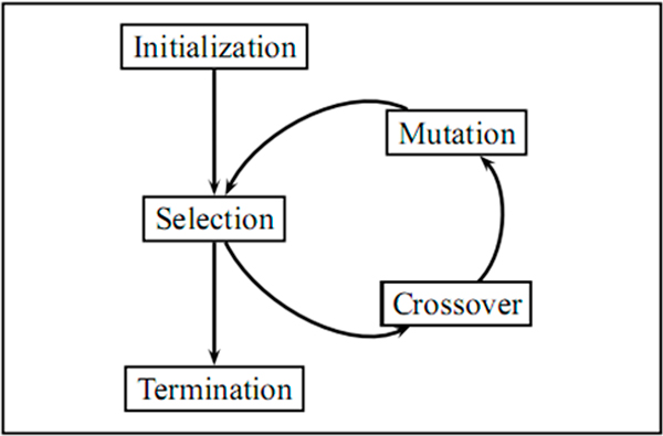 Identifying protein complexes with fuzzy machine learning model - Scientific Figure on ResearchGate. Available from: https://www.researchgate.net/260377604_fig2_Genetic-Algorithm-Tree-Basic-steps-of-GA-selection-crossover-and-mutation [accessed 28 Sep, 2016]