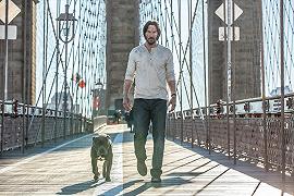 John Wick 2, per ora il cane è vivo