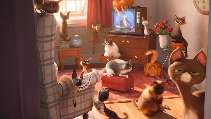 Pets