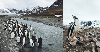 Reportage fotografico dell’Antartide con iPhone 7  Plus