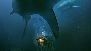 47 Metri: le prime immagini dell’horror in acque profonde