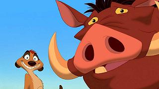 Il Re Leone: Billy Eichner e Seth Rogen saranno i nuovi Timon e Pumbaa?