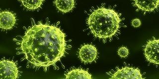 Un nuovo virus colpisce solo i bianchi, è allarme nella comunità scientifica