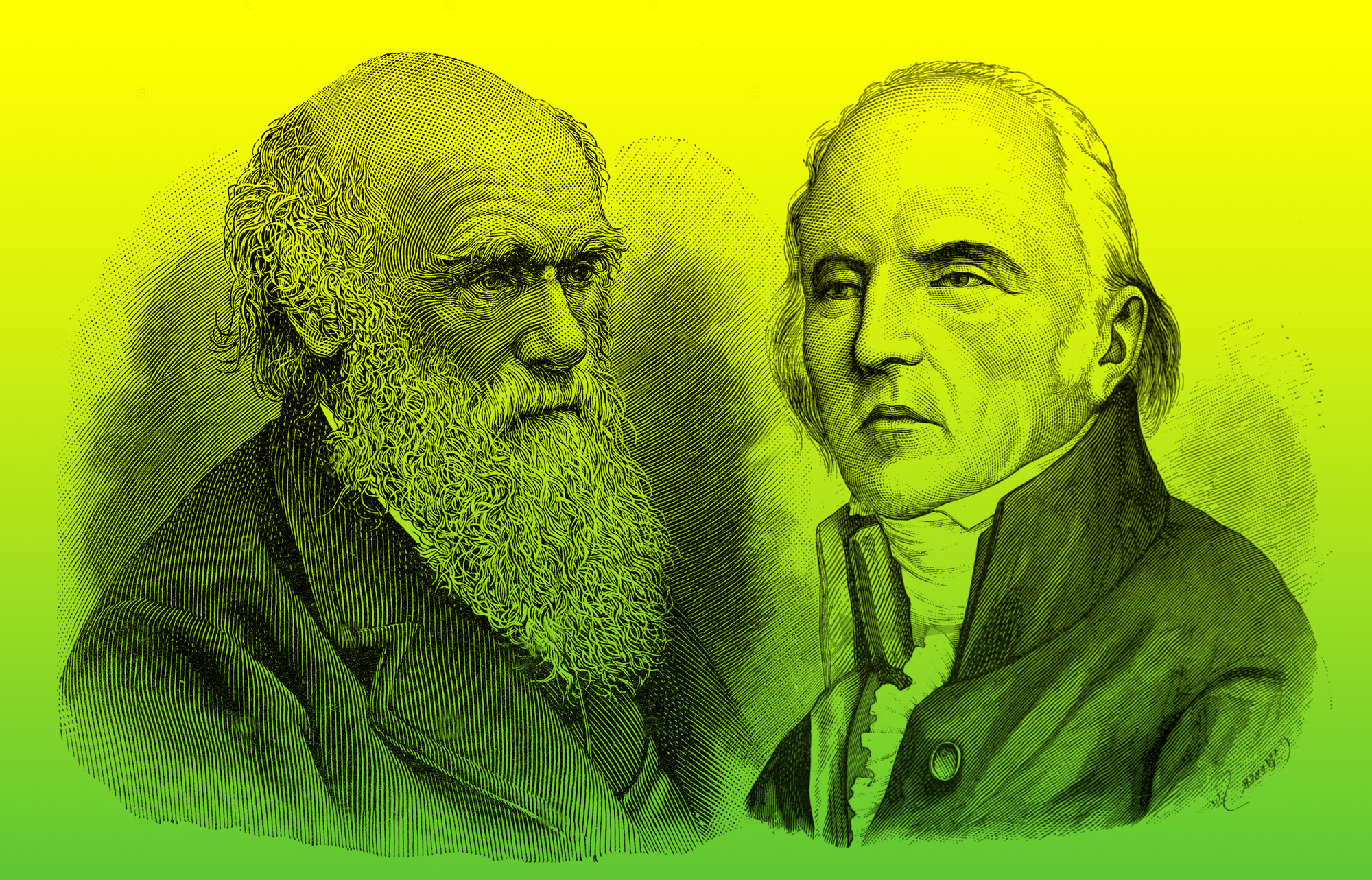 Darwin e Lamarck: lo scontro infinito sull’evoluzione