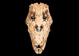 Il cranio del tirannosauro in scala 1:2 riprodotto in LEGO attende il vostro supporto