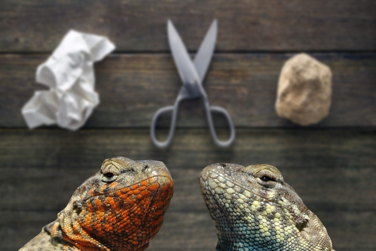 Carta-Forbice-Sasso-Lucertola