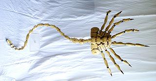 Disponibili le istruzioni per il Facehugger LEGO dal film Alien