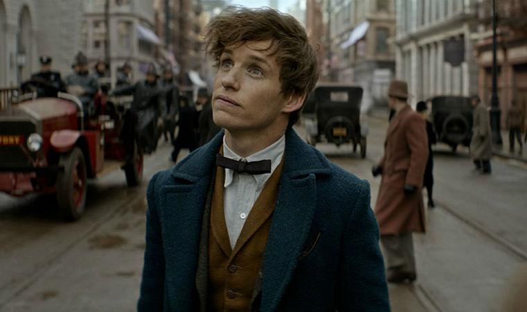 animali fantastici eddie redmayne