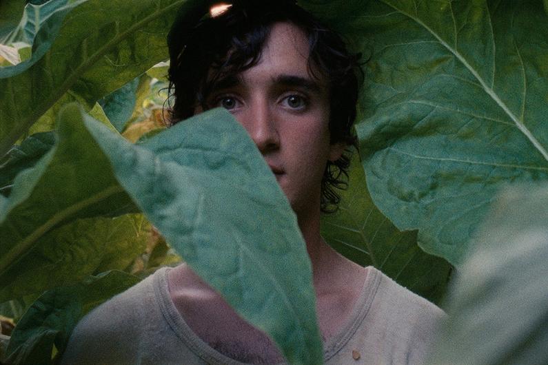 Lazzaro Felice: la favola agrodolce di Alice Rohrwacher