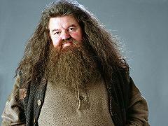 Animali Fantastici: Eddie Redmayne vorrebbe Hagrid in uno dei sequel