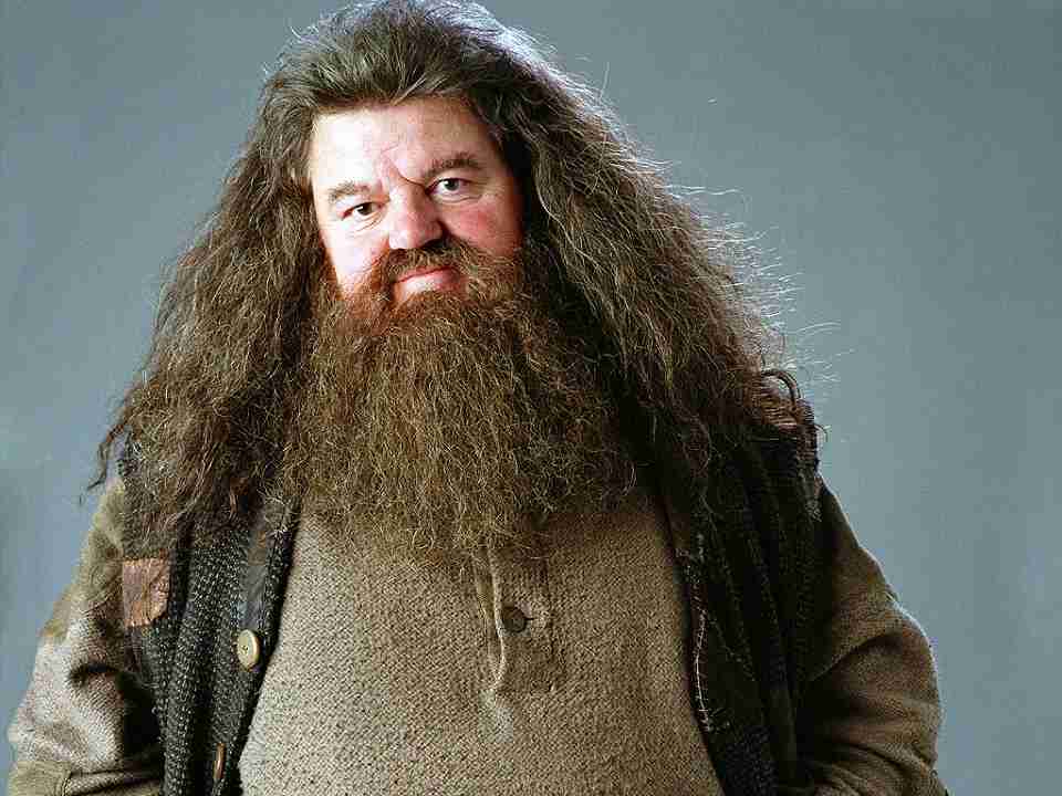 Hagrid