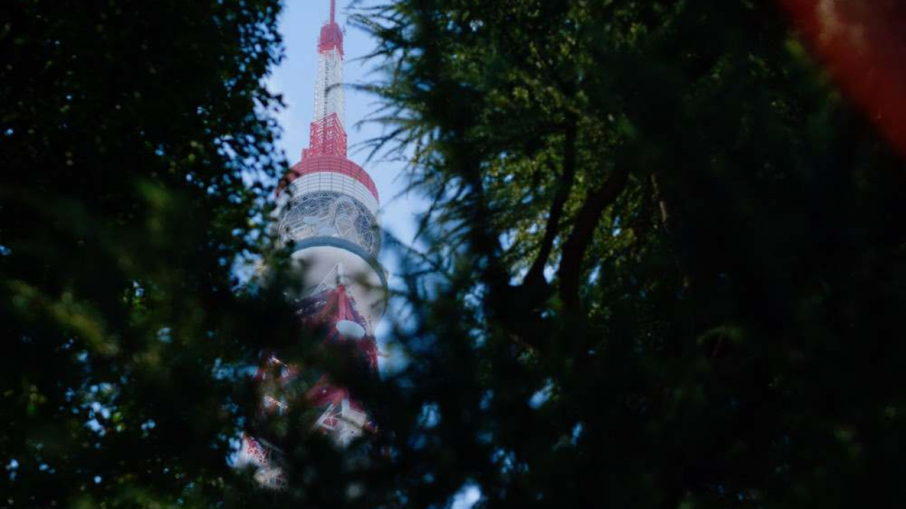 Il mio primo viaggio a Tokyo