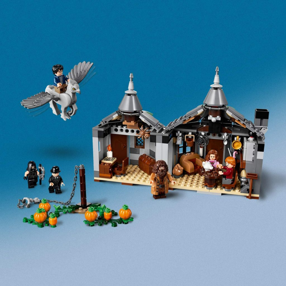 Lego Harry Potter E Il Calice Di Fuoco