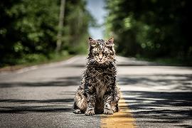 Pet Sematary: in lavorazione un film prequel per Paramount+