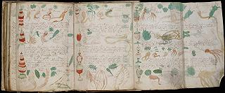 Ricercatore sostiene di aver tradotto finalmente il celebre Manoscritto Voynich