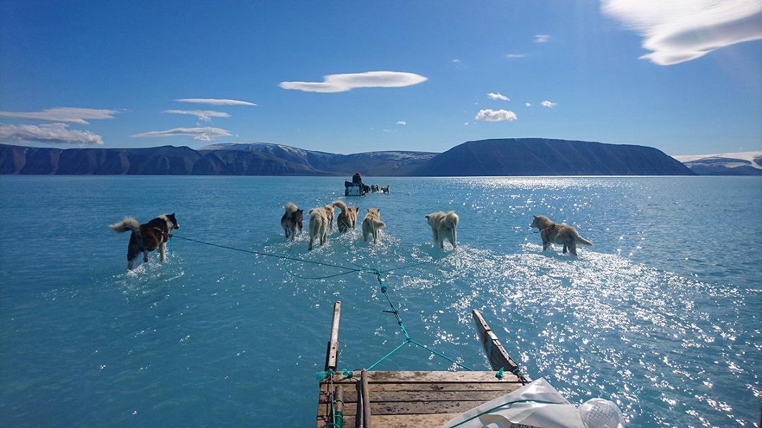 Una foto incredibile mostra uno strato d’acqua sopra il pack della Groenlandia