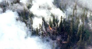Siberia e Alaska in fiamme: è un disastro senza precedenti, ecosistemi distrutti e milioni di tonnellate di CO2 nell’atmosfera