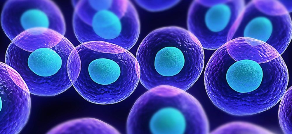 Gli scienziati stanno iniziando a spiare le conversazioni tra le cellule