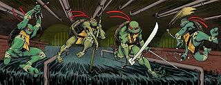 Teenage Mutant Ninja Turtles: arriva una nuova Tartaruga Ninja nel gruppo