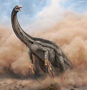 Lo studio dei fossili di uova di dinosauro ci svela il loro comportamento parentale