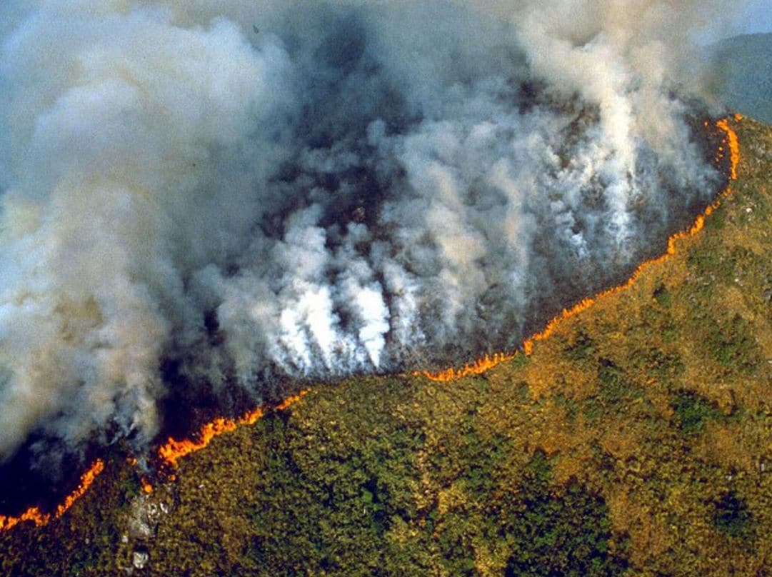 Il fumo prodotto dagli incendi in Amazzonia sta coprendo l'intero emisfero sud del pianeta