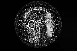 Lo studio del cervello per lo sviluppo dell’Intelligenza Artificiale