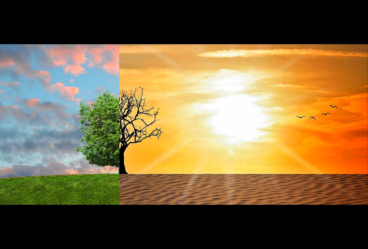 Cambiamenti climatici: biodiversità in grande pericolo, già dal 2030