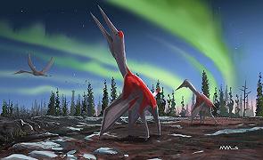 Il Cryodrakon Boreas è un nuovo enorme pterosauro con un’apertura alare di oltre 9 metri scoperto in Canada