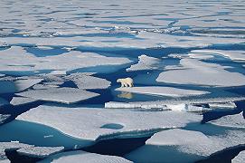 Rapporto ONU: ecco come il cambiamento climatico sta già alterando gli oceani e la criosfera del nostro pianeta