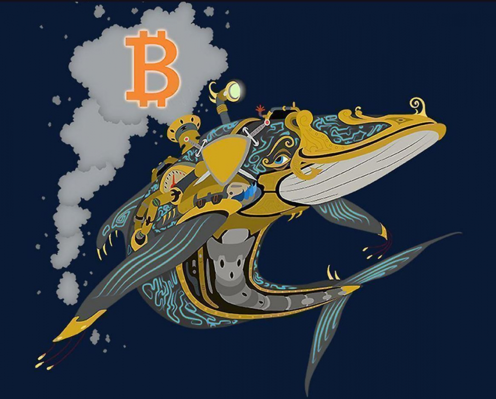 più grande transazione bitcoin btc seconda consulenza
