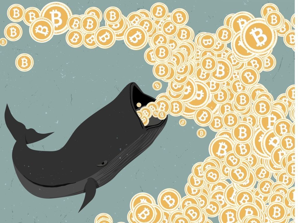 La crescita vertiginosa del Bitcoin nel 2017 è stata pilotata da un unico speculatore?