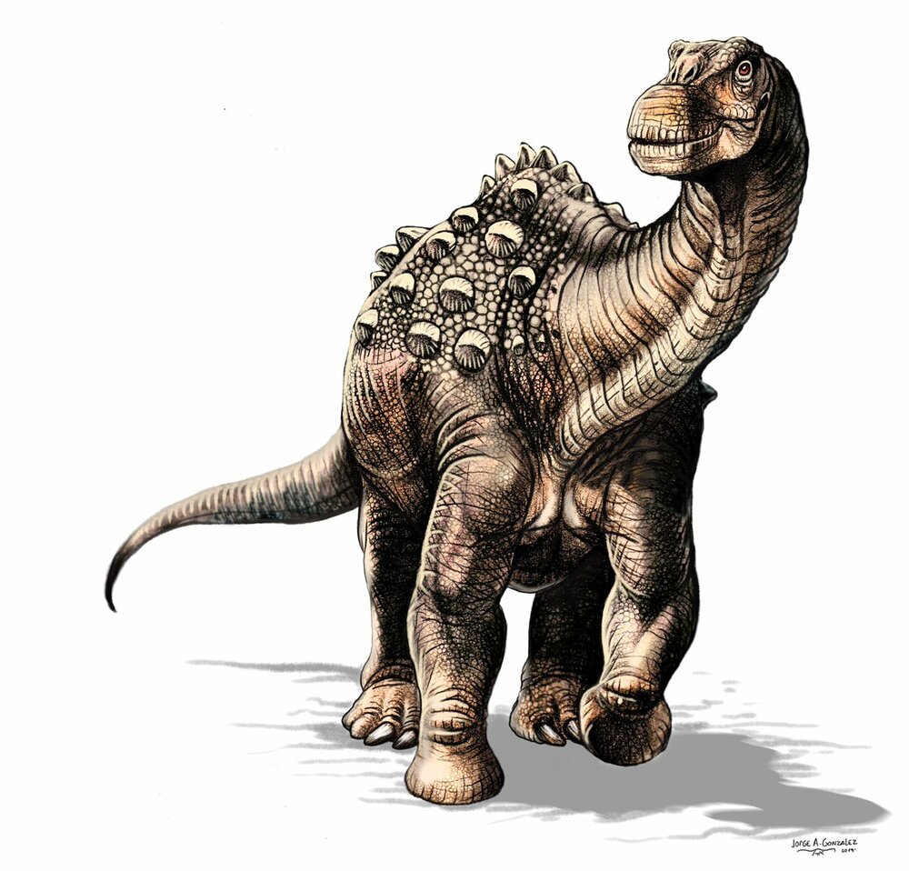 Yamanasaurus lojaensis: una nuova specie di dinosauro scoperta in Ecuador