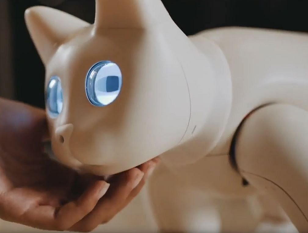 MarsCat, il robot-gatto in crowdfunding su Kickstarter
