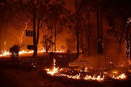 Incendi in Australia: una catastrofe che sta distruggendo il paese