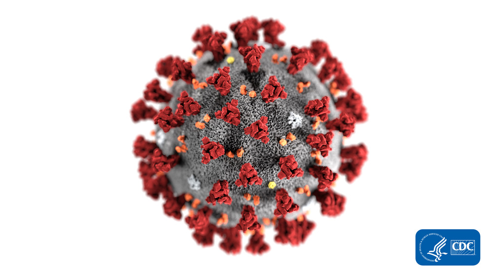 Coronavirus: l'immagine diffusa dal CDC