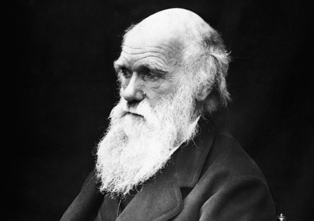 Darwin Day: la celebrazione della ricerca scientifica