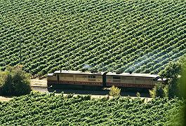 Harry Potter: la cena con delitto sul treno che attraversa la Napa Valley