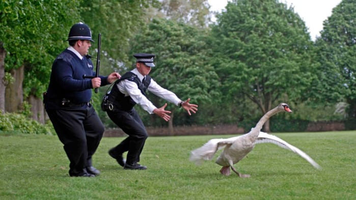 film azione Amazon Prime Video, Hot Fuzz