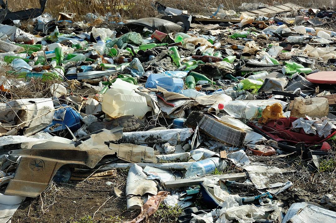 Plastica: un batterio ci aiuterà a eliminarla