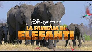 Disney+: per il Mese della Terra arrivano i nuovi film DisneyNature