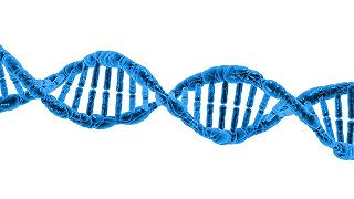 La longevità è nel nostro DNA