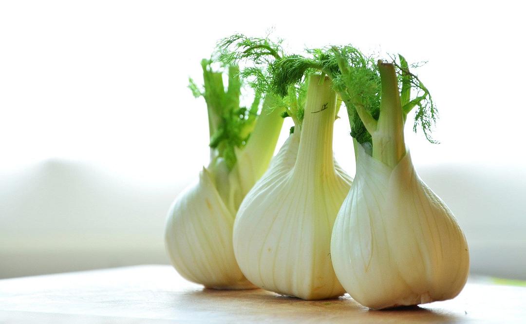 Finocchi, un patogeno ne minaccia la produzione