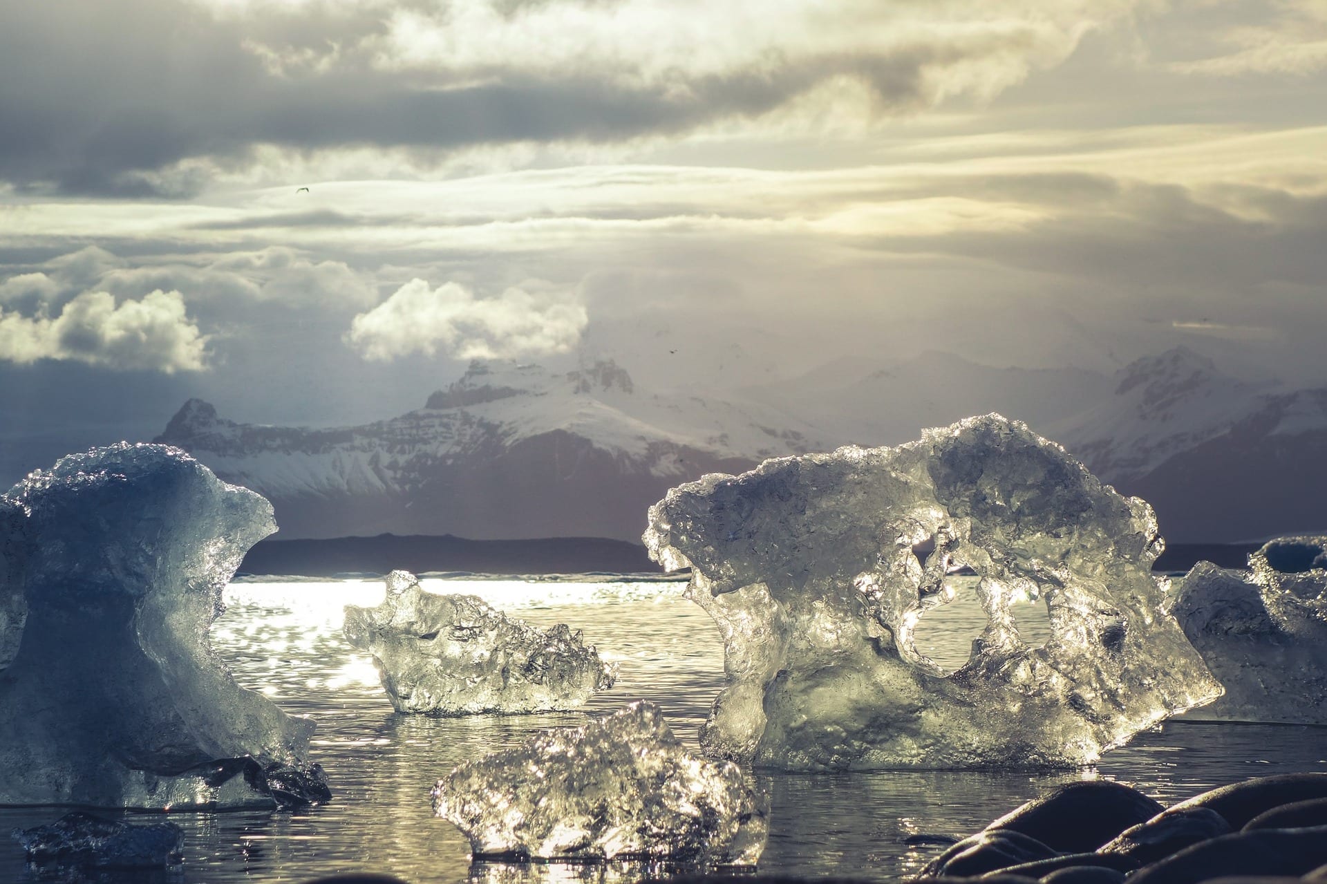 Antartide: come lo scioglimento dei ghiacci influenza i mari tropicali