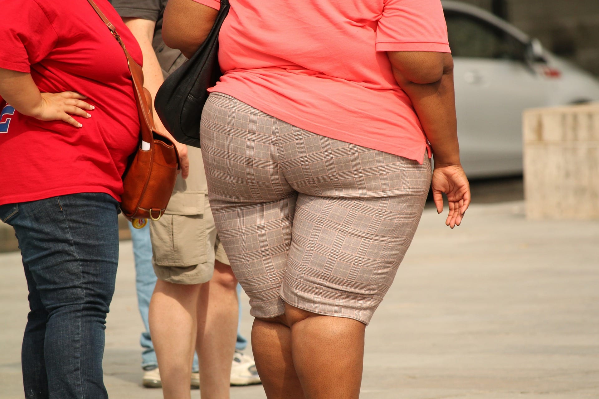 Obesità: i microbi ci salveranno?