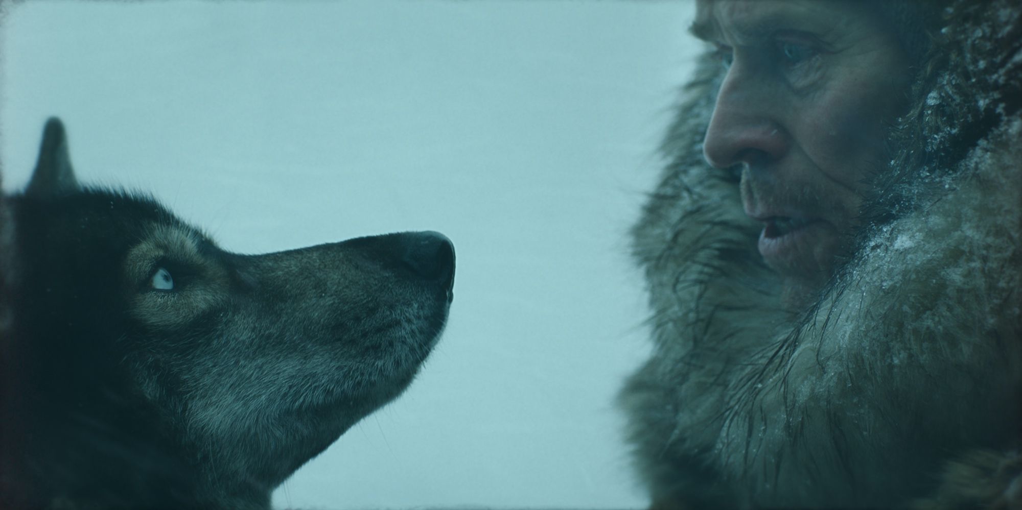 Togo: Una Grande Amicizia, ecco il primo trailer italiano