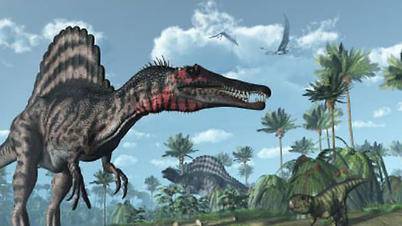 Lo Spinosaurus poteva nuotare?