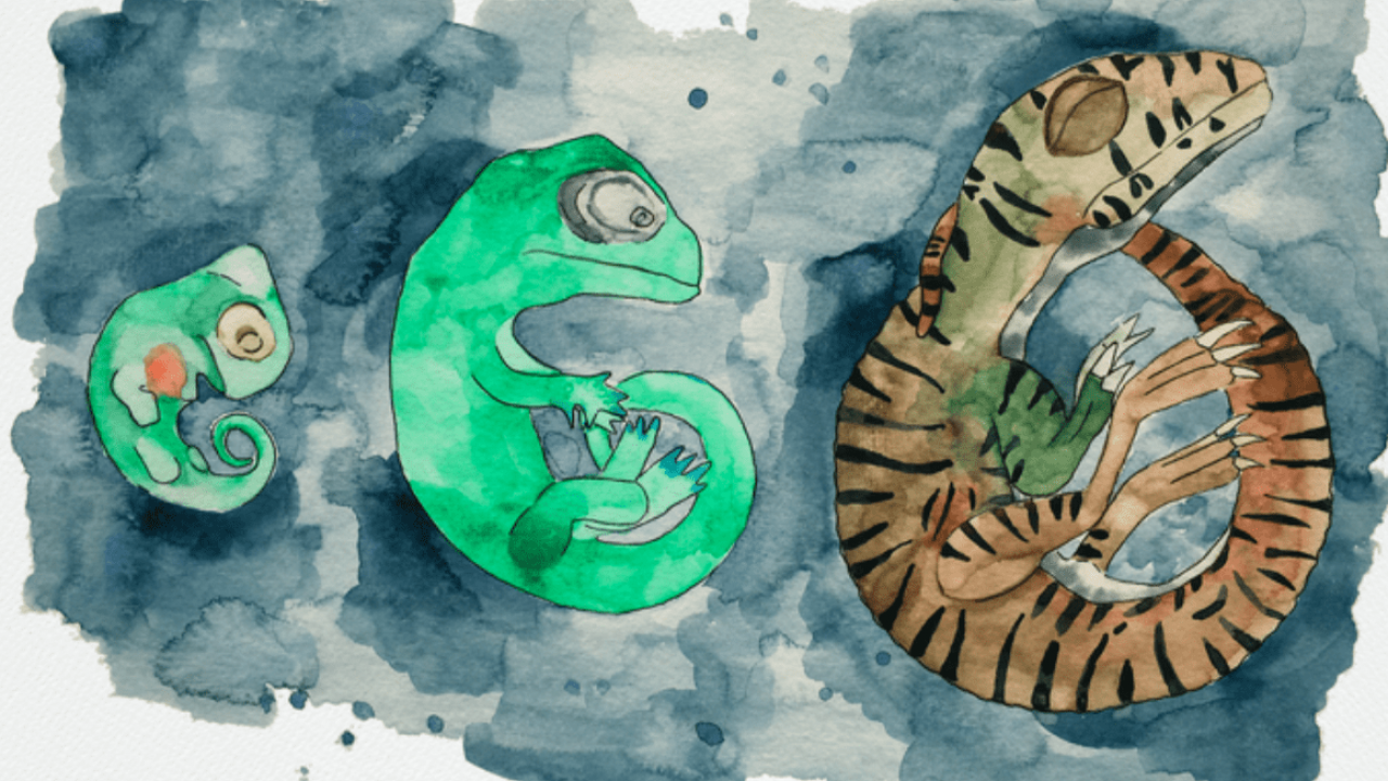 Uova di dinosauro di 200 milioni di anni fa: ricostruite in 3D