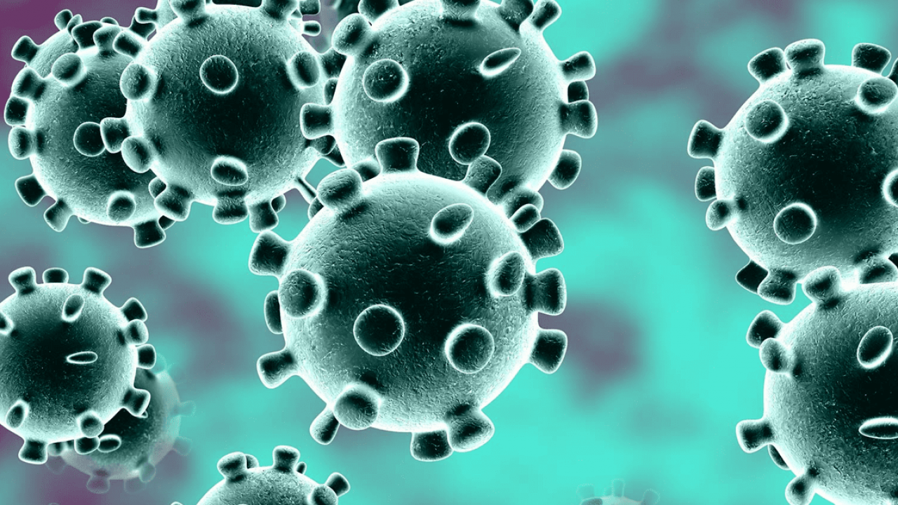 Biobanca del Coronavirus: nascerà a Milano