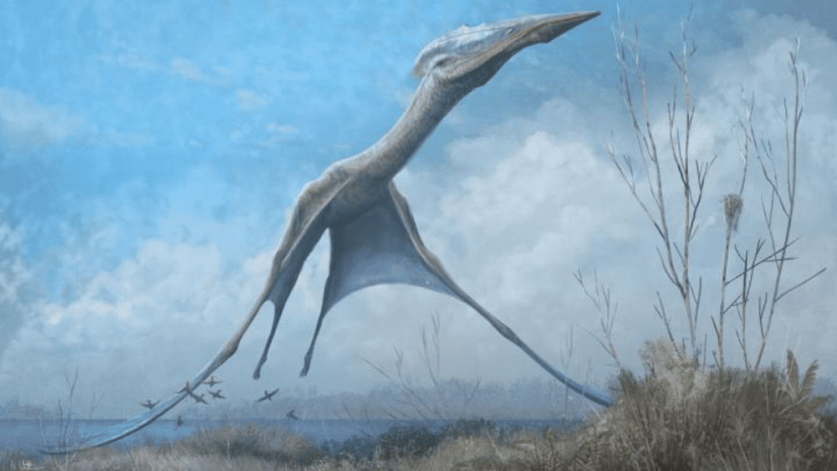 Pterosauri: antiche soluzioni per moderni problemi di volo