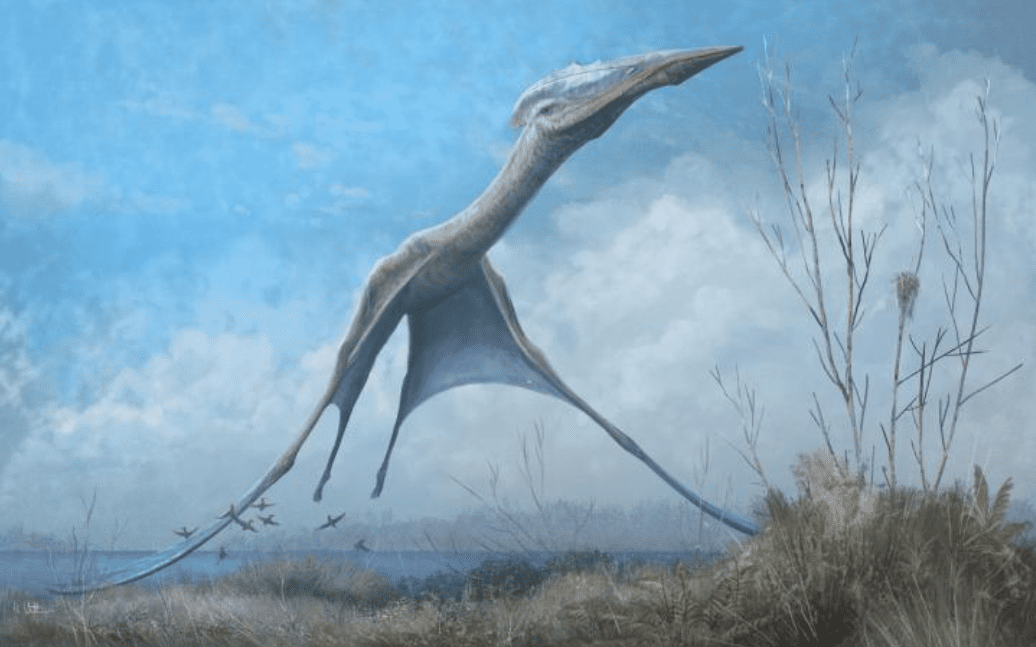 Pterosauri: antiche soluzioni per moderni problemi di volo